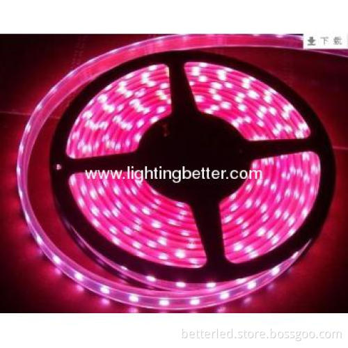 BETTER hot sales pink color waterproof SMD3528 Led Strip